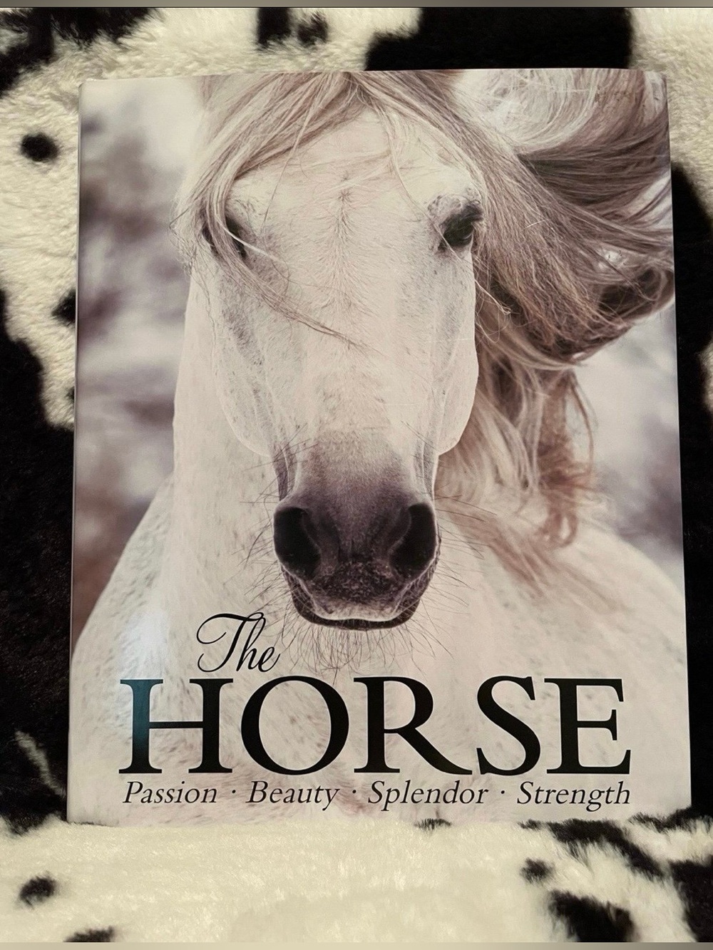 The Horse: Passion. Beauty. Splendor. Strength. by Elaine Walker Hardback Book